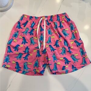 Chubbies Swim Hear Me Roar Dinosaurs (Large - Brief Lined)
